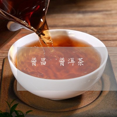 普昌 普洱茶/2023042981021